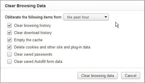 specify the settings for your chrome history delete