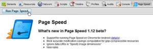 run Google Chrome PageSpeed