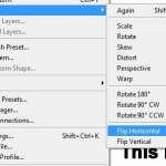 how to flip a layer in photoshop cs5