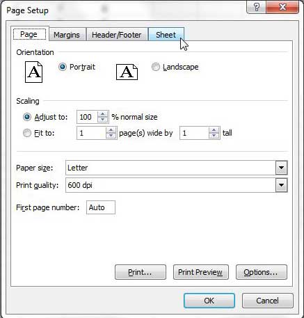 adjust the sheet settings in excel 2010