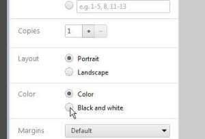 how to print in black and white from google chrome