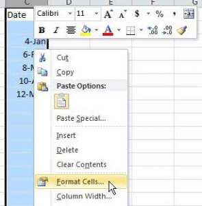 how to change the date format in Excel 2010