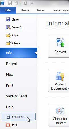 word 2010 options button