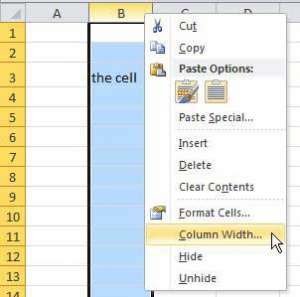 how to change the size of a cell in Microsoft Excel 2010