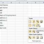 switch a row to a column in Excel 2010