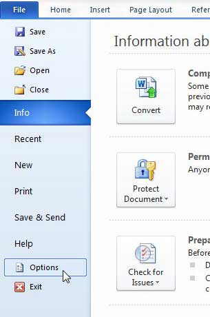 options on the file tab in word 2010