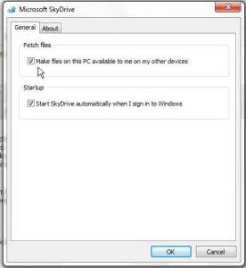 configure the fetch files setting in skydrive