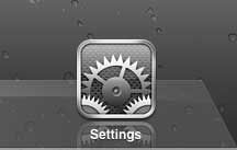ipad settings icon