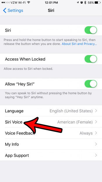 how to change the iphone voice