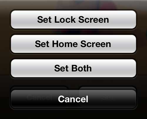 choose to set the image as your home screen, lock screen, or both