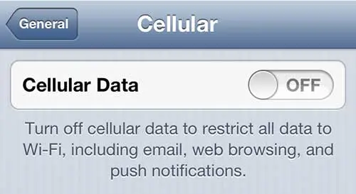 turn off all cellular data on the iPhone 5
