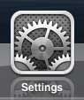Open the iPad Settings menu