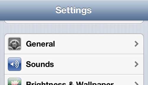 Open the iPhone 5 General menu
