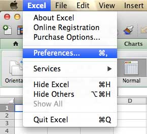 Open the Excel "Preferences" menu