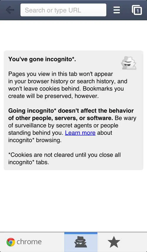 Explanation of the Incognito tab