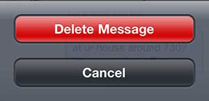 Tap the Delete Message button