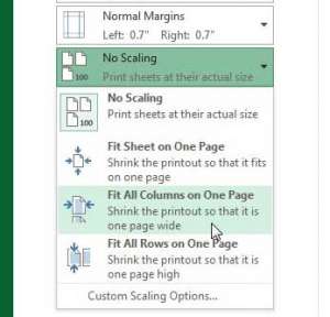 Select the Fit all Columns on One Page option