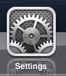 Open the iPad Settings menu