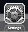 open the ipad settings menu