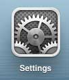 open the settings menu on the ipad