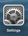 open the ipad settings menu