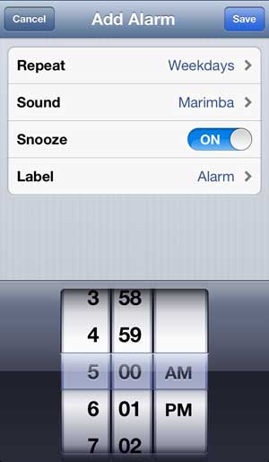 set the rest of the alarm options