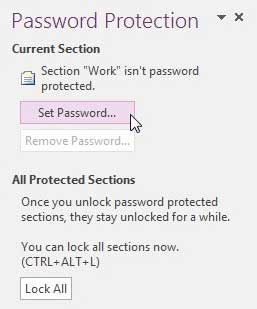 click the set password button