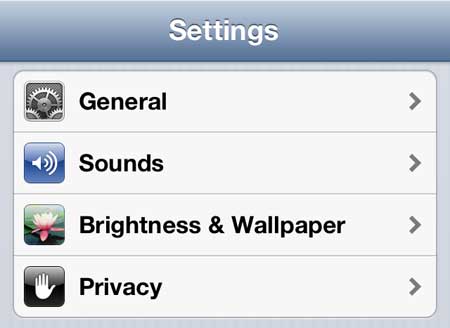 select the brightness and wallpaper option