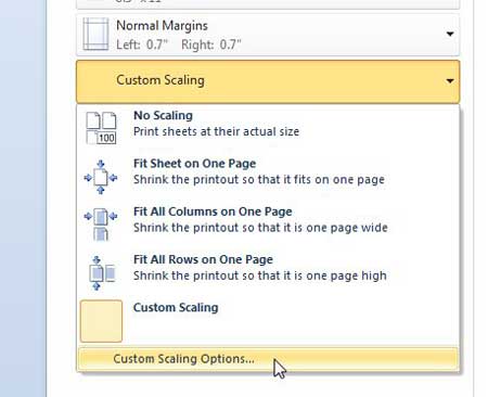 change the custom scaling option