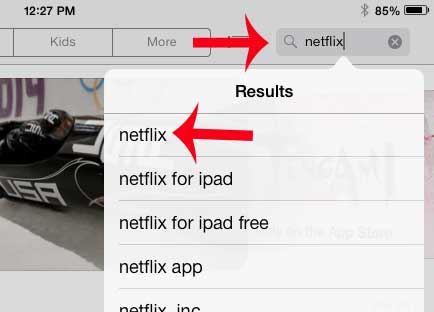 search for the netflix app