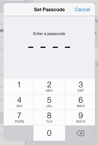 enter the passcode that you want to use