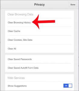 how to delete browsing history in chrome on ipad