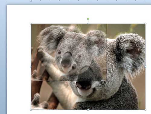 how to resize a picture in word 2010