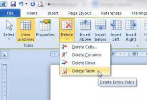 how to delete a blank table in word 2010