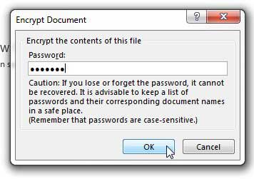 crerate a password for the workbook