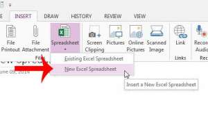 how to insert an excel spreadsheet in onenote 2013