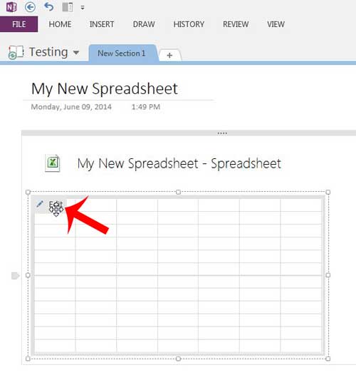 click the edit button on the spreadsheet image