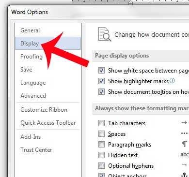 click display in the left column of the word options window