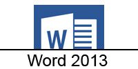 word-2013-category-icon