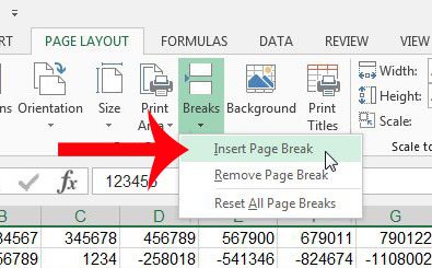 How to Insert a Page Break in Excel 2013 - 45