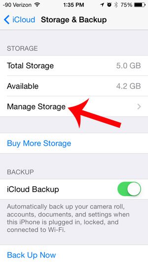 touch the manage storage button