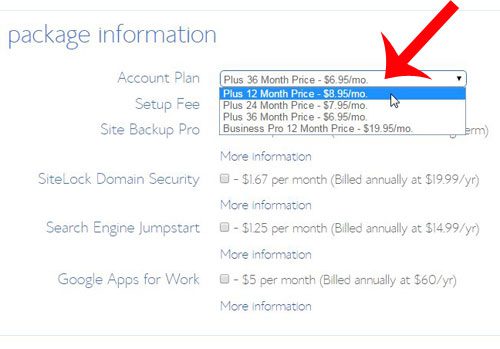 select the number of months for your hosting plan