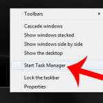 launch the windows task manager