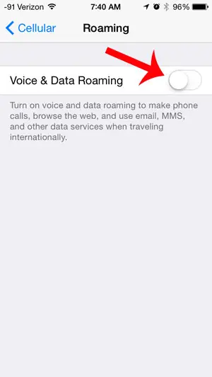 turn on the voice and data roaming option