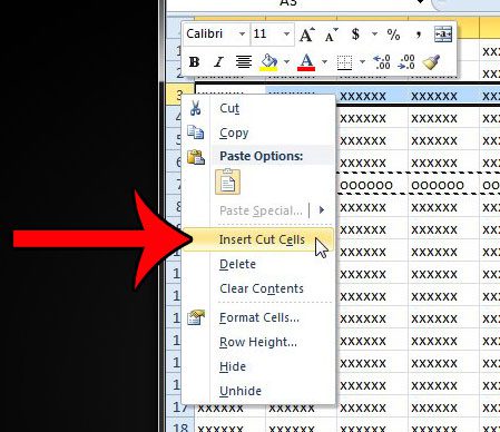 How to Move a Row in Excel 2010 - Solve Your Tech
