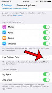 turn off the use cellular data option
