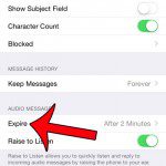 touch the expire button under audio messages