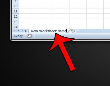 type the new worksheet name