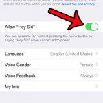 turn on the allow hey siri button