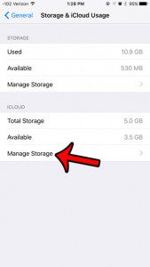 select manage storage under icloud